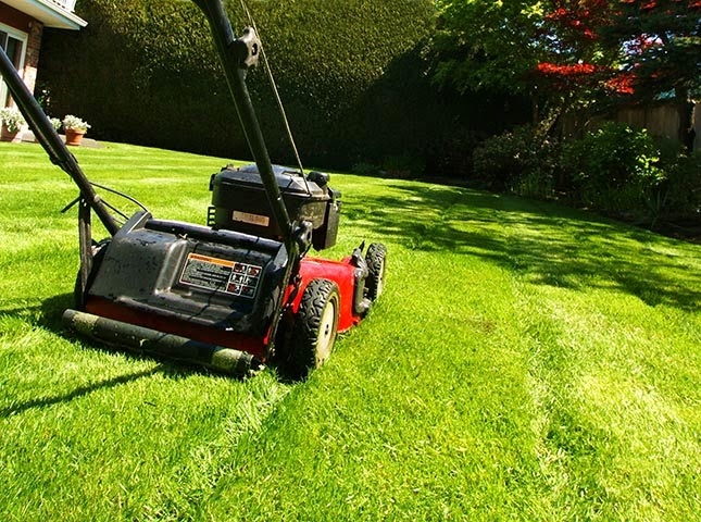 Clean Sweep Yard Care Llc