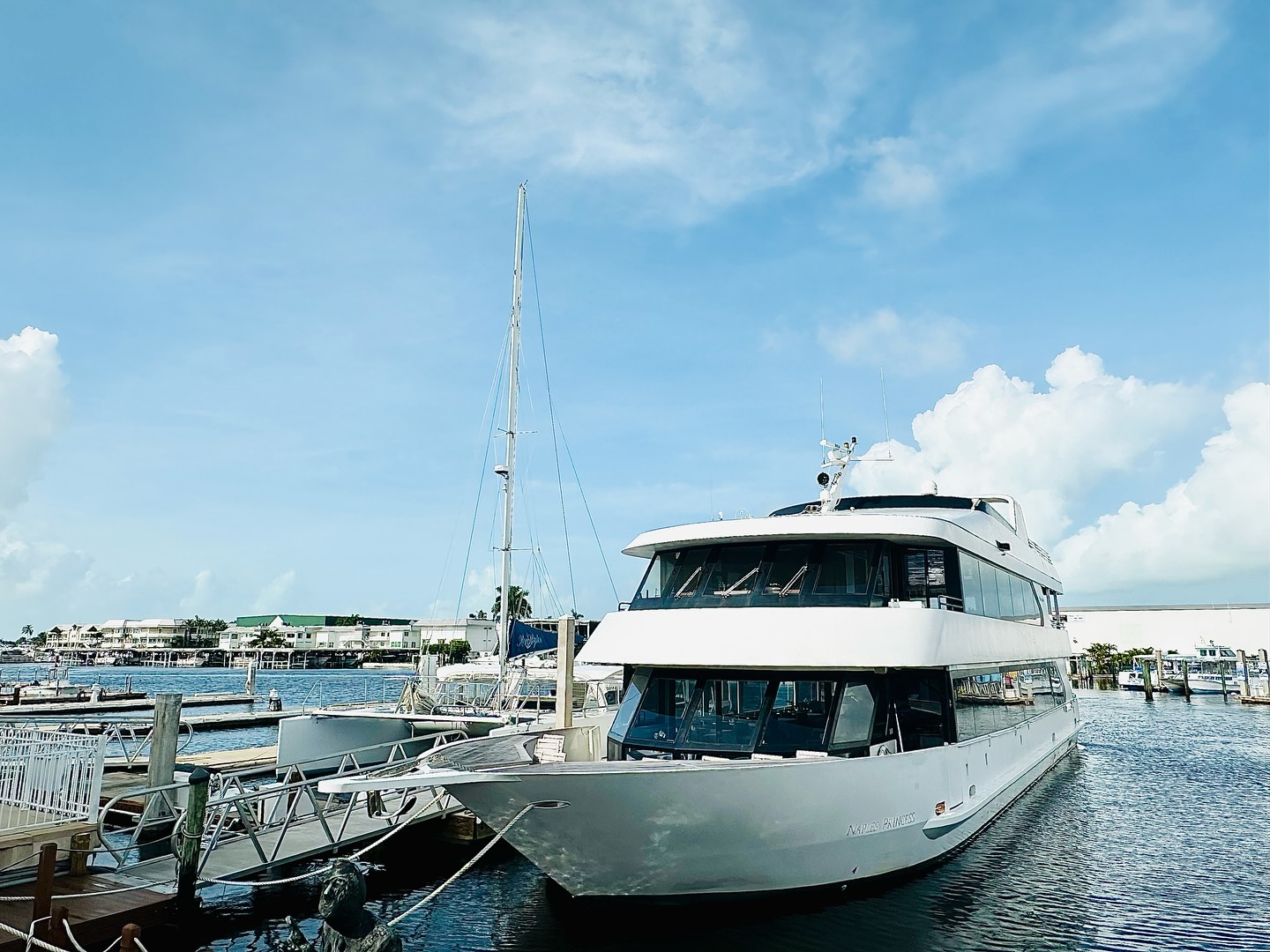 Naples Princess Image