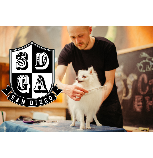 Images San Diego Grooming Academy