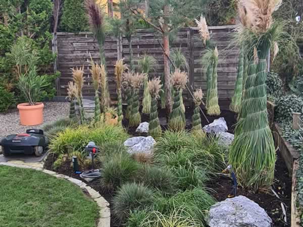 Bilder BRÜHWILER-GARTENBAU, BAUMPFLEGE