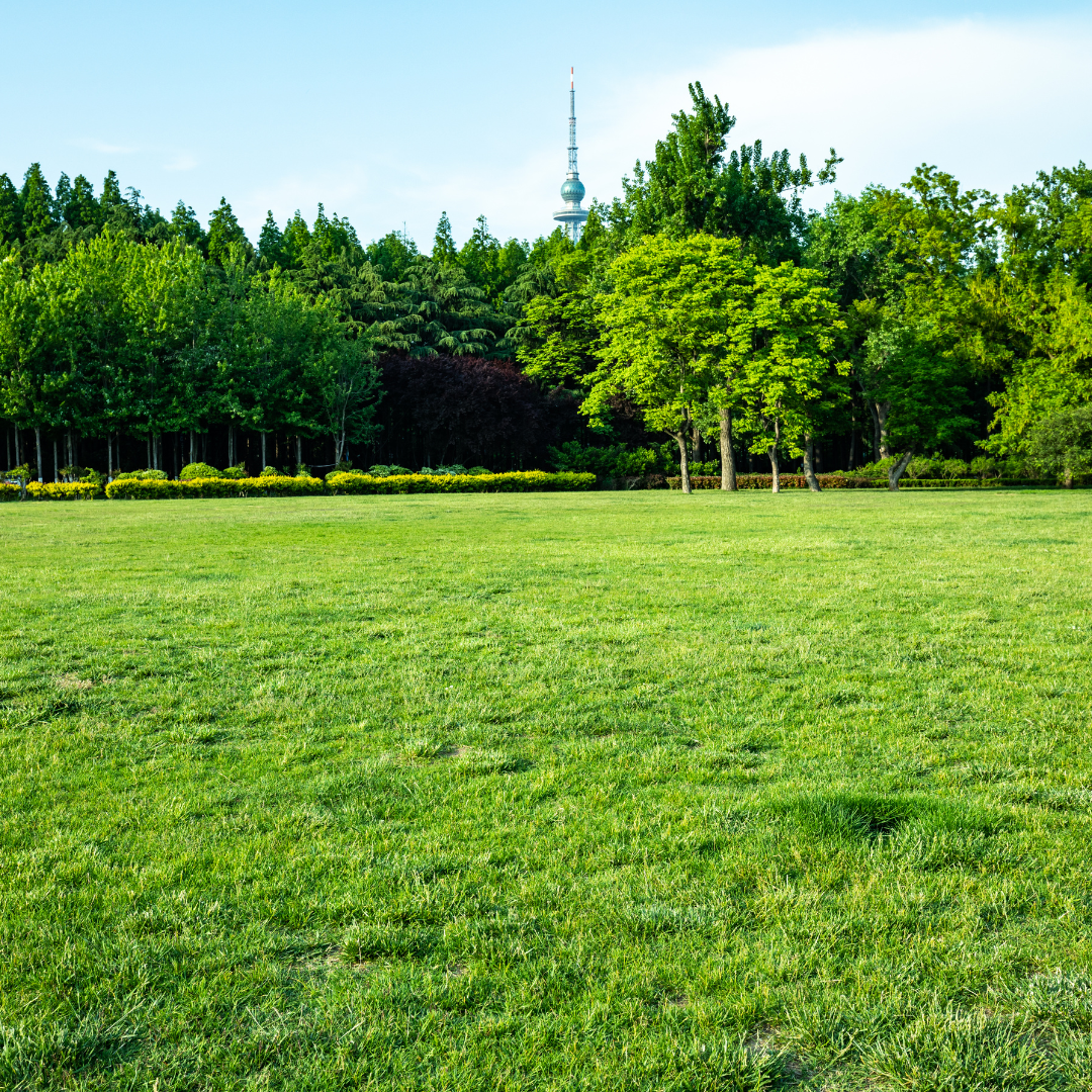 Trimmers Landscaping