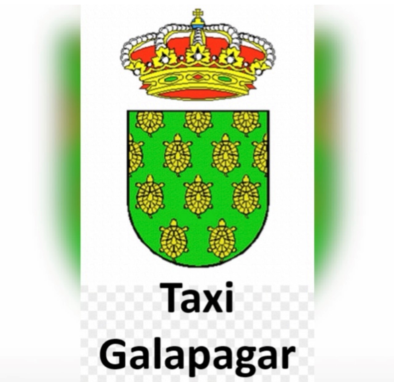 Images Taxi Galapagar Licencia 1