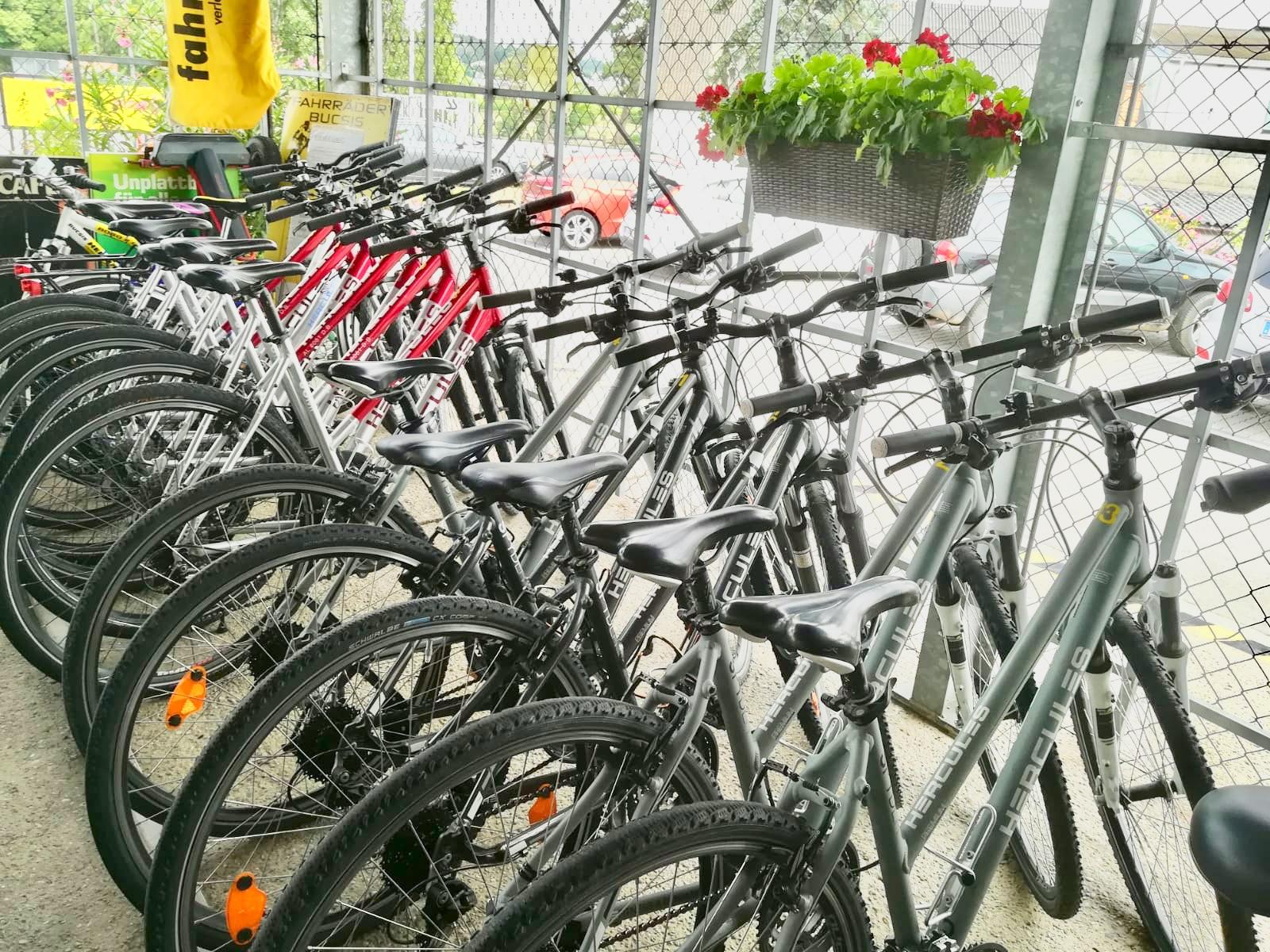 Fahrräder Bucsis Beata, Bahnstraße 30 in Neusiedl am See