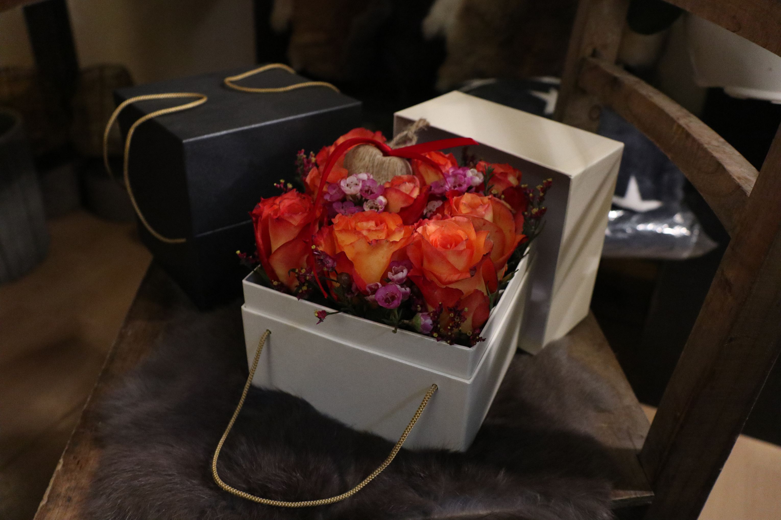 Bilder Blumenhaus Wiedikon