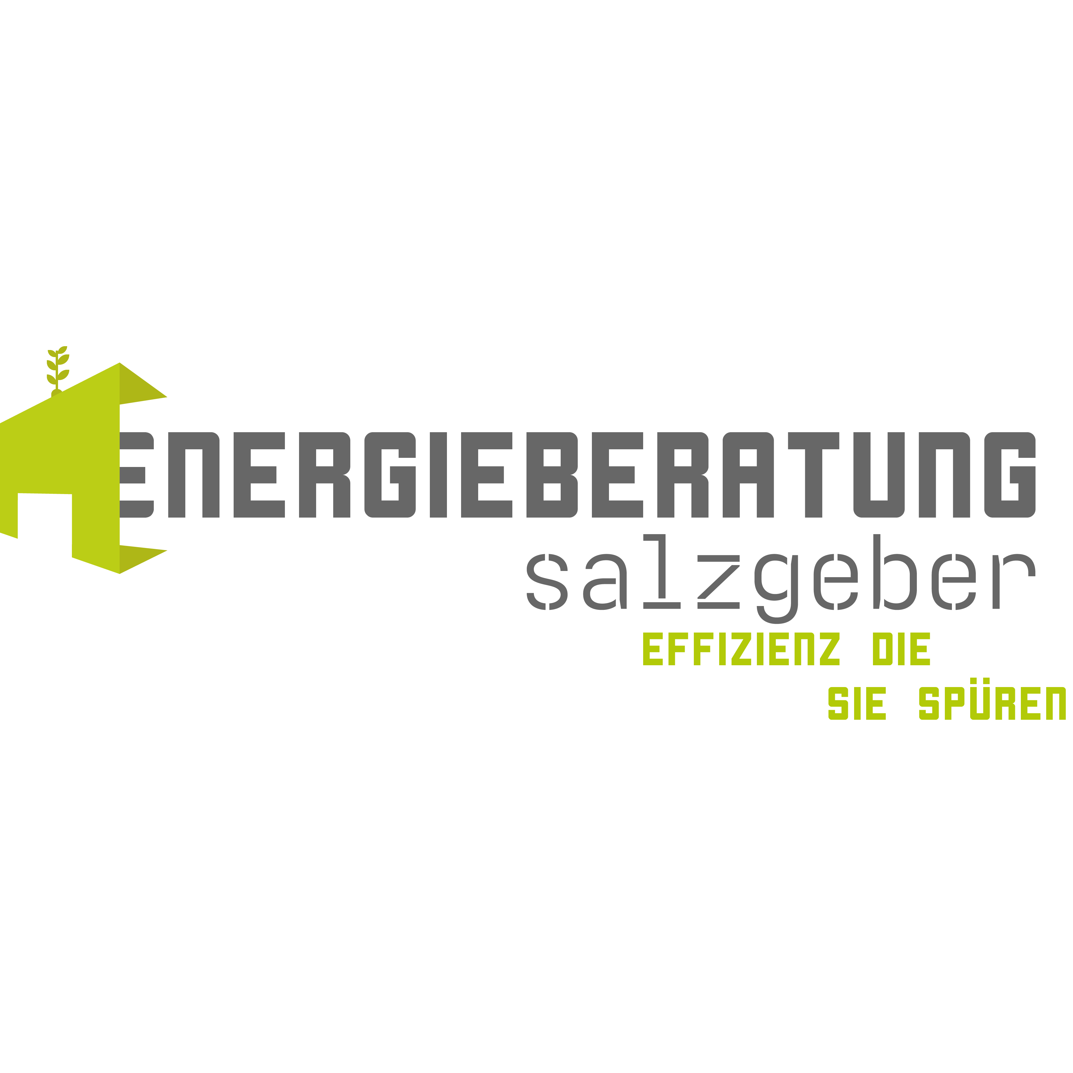 Logo Energieberatung Salzgeber