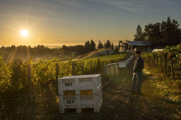 Images Sokol Blosser Winery