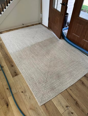 Images Apex Professional Cleaning Systems