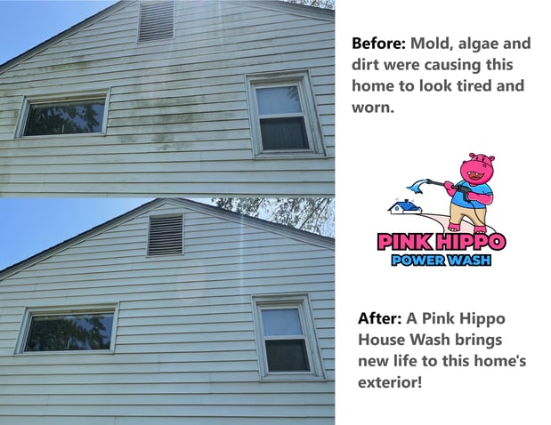 Images Pink Hippo Power Wash