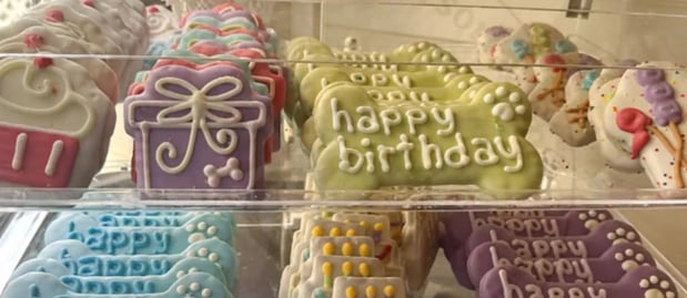 Images Interlude Pet Resort & Spa