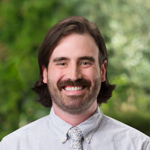 Dr David A. Dickson