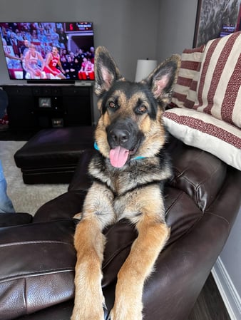 Images Marjorie Schaeffer - State Farm Insurance Agent