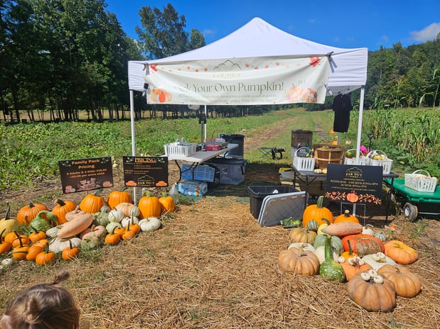 Images The Venue at Far Out Farms