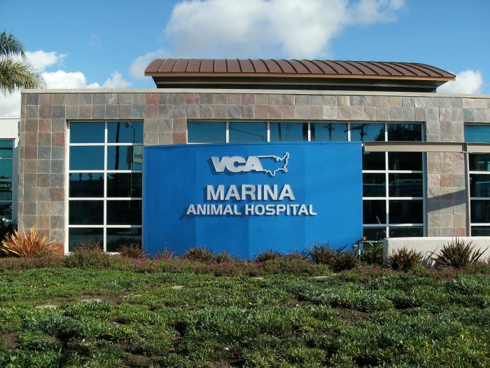 Images VCA Marina Bay Cities Animal Hospital