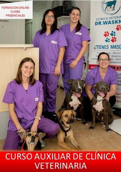 Images Clínica Veterinaria Doctor Waksman