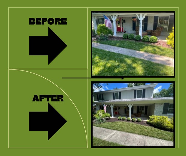 Images Shepherd's Landscaping