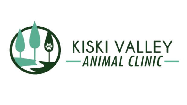 Images Kiski Valley Animal Clinic Inc