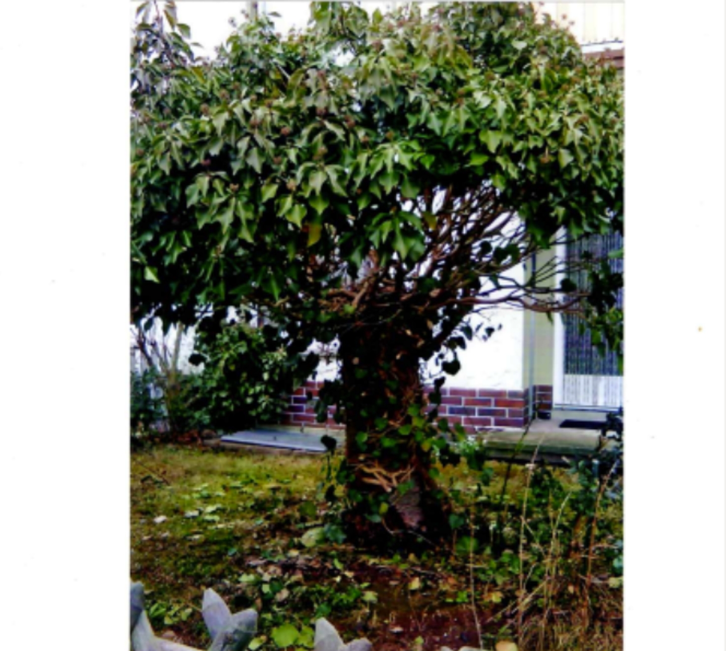 Elke Schüßler-Hansen, Am Kleinen Steinbusch 15 in Bad Brückenau
