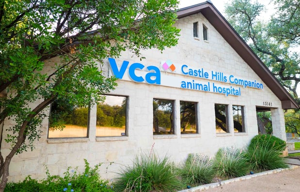 Images VCA Castle Hills Companion Animal Hospital