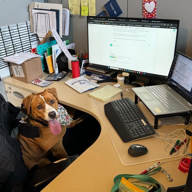 Images Symphonix Solutions