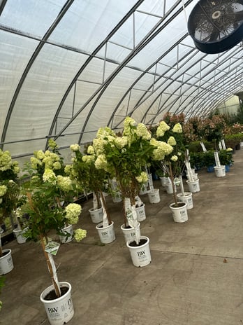 Images Ultimate Nursery Macomb