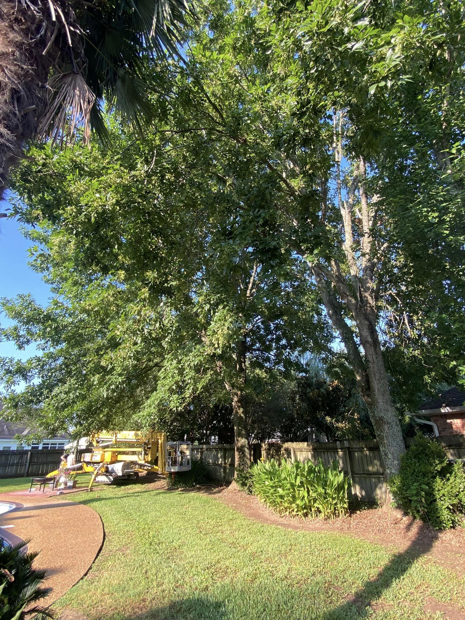 Bynog's Tree Services Image