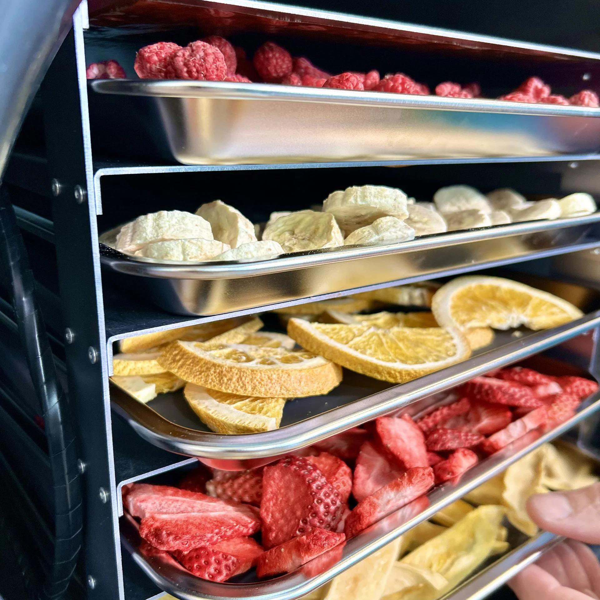 This image showcases a variety of dried fruits neatly arranged in a modern BLUE ALPINE dehydrator. The vibrant colors of the fruits contrast beautifully against the sleek, metallic surface of the appliance, making it visually appealing and indicative of a healthy, nutritious snack preparation.
