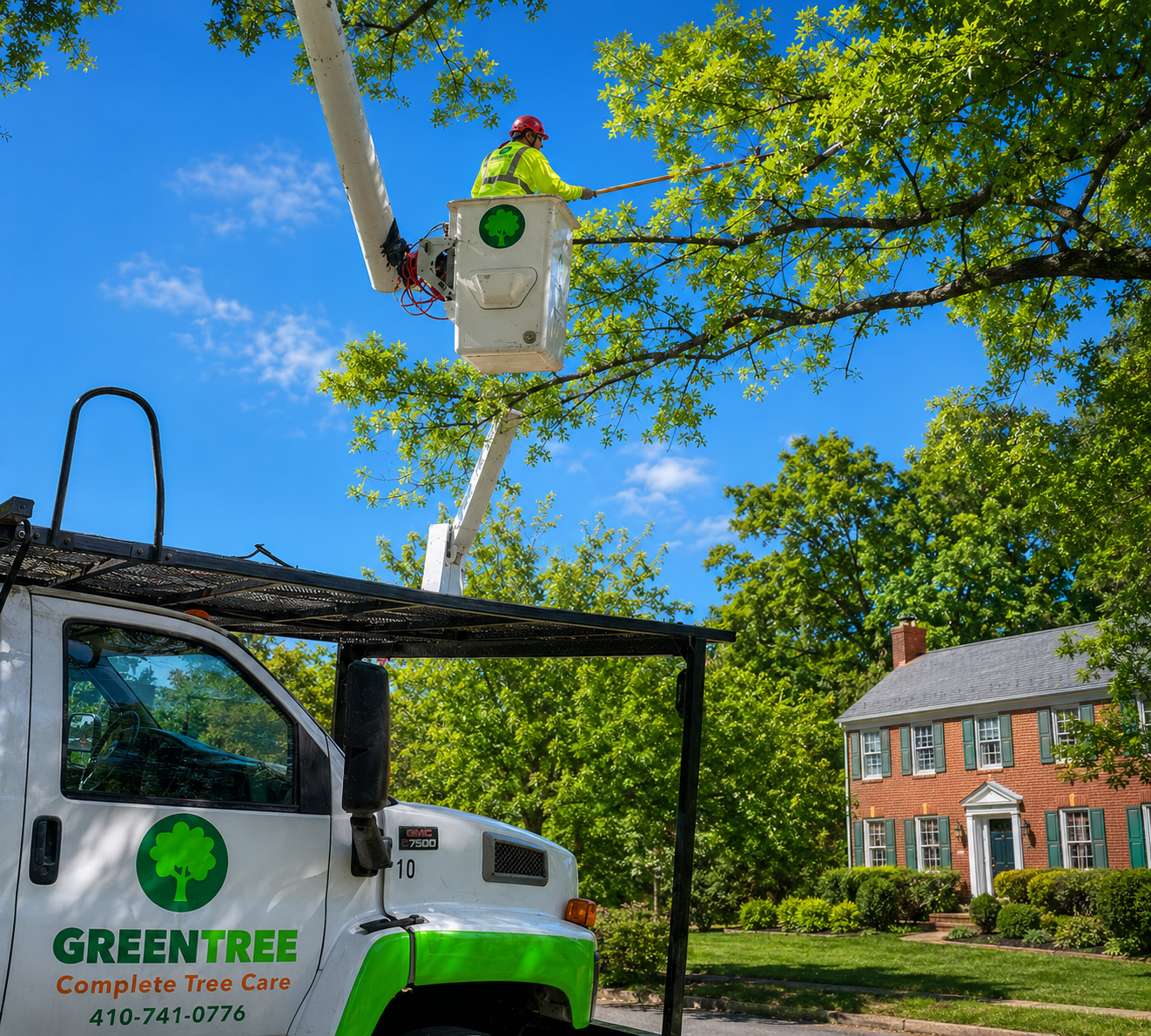 Tree Trimming