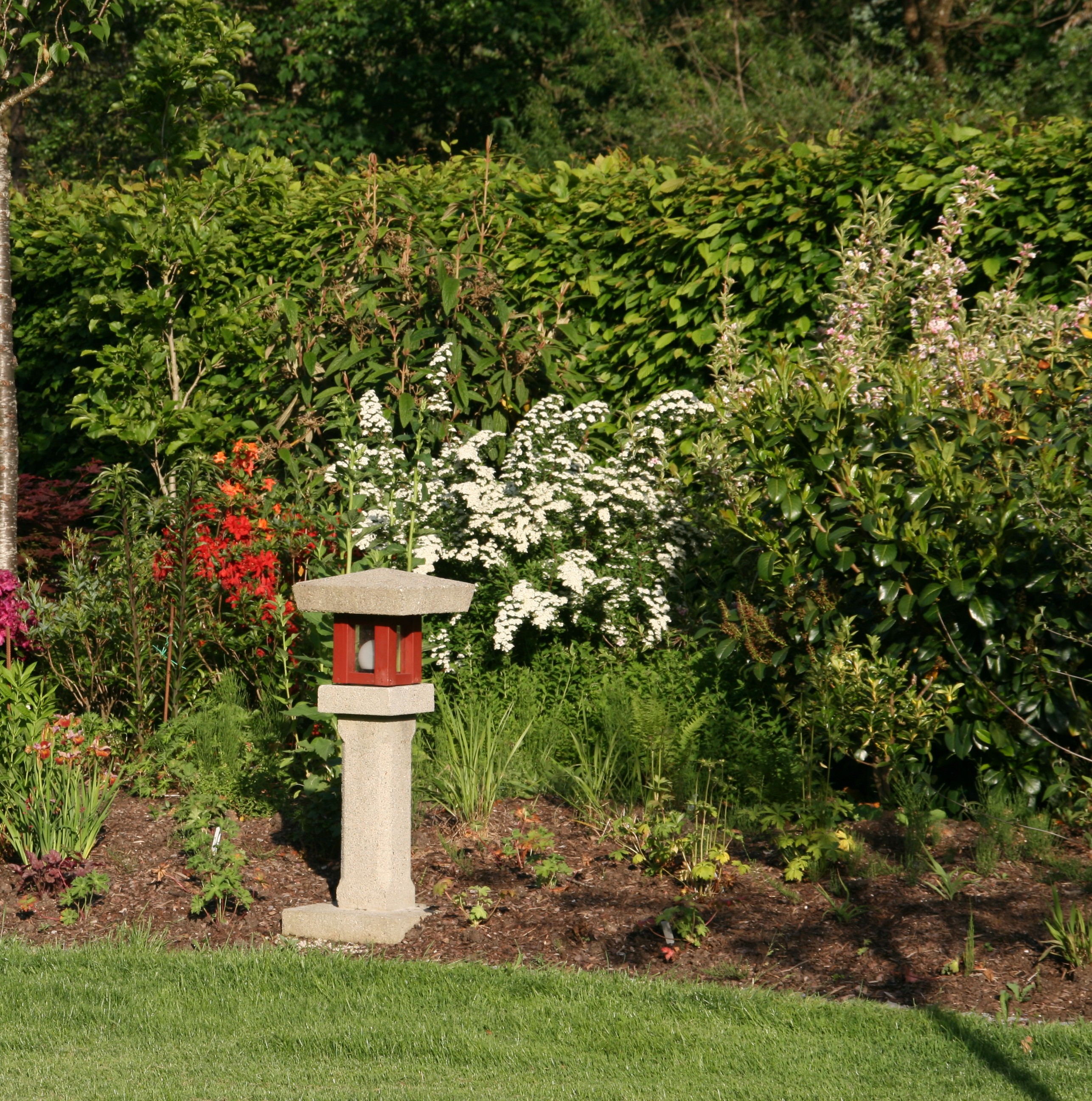 Bild 79 von Grün-Zone