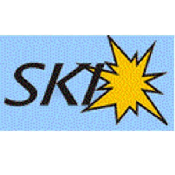 SKI Sanitär-Komplettinstallations GmbH in Leuna - Logo