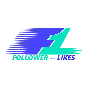 Follower-Likes Social Media Agentur in Neubrandenburg - Logo