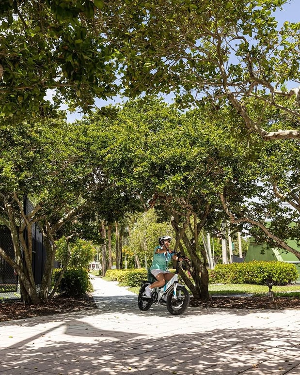 Images eBike Naples Tours