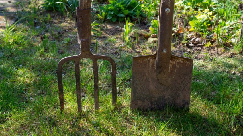 Images Ravintola Farmi