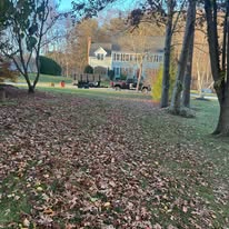 Ramirez Hardscapes & Tree Service Image