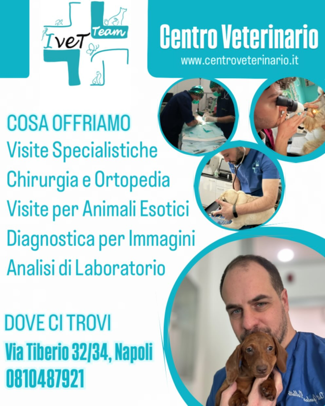 Images Centro Veterinario Ivet Team