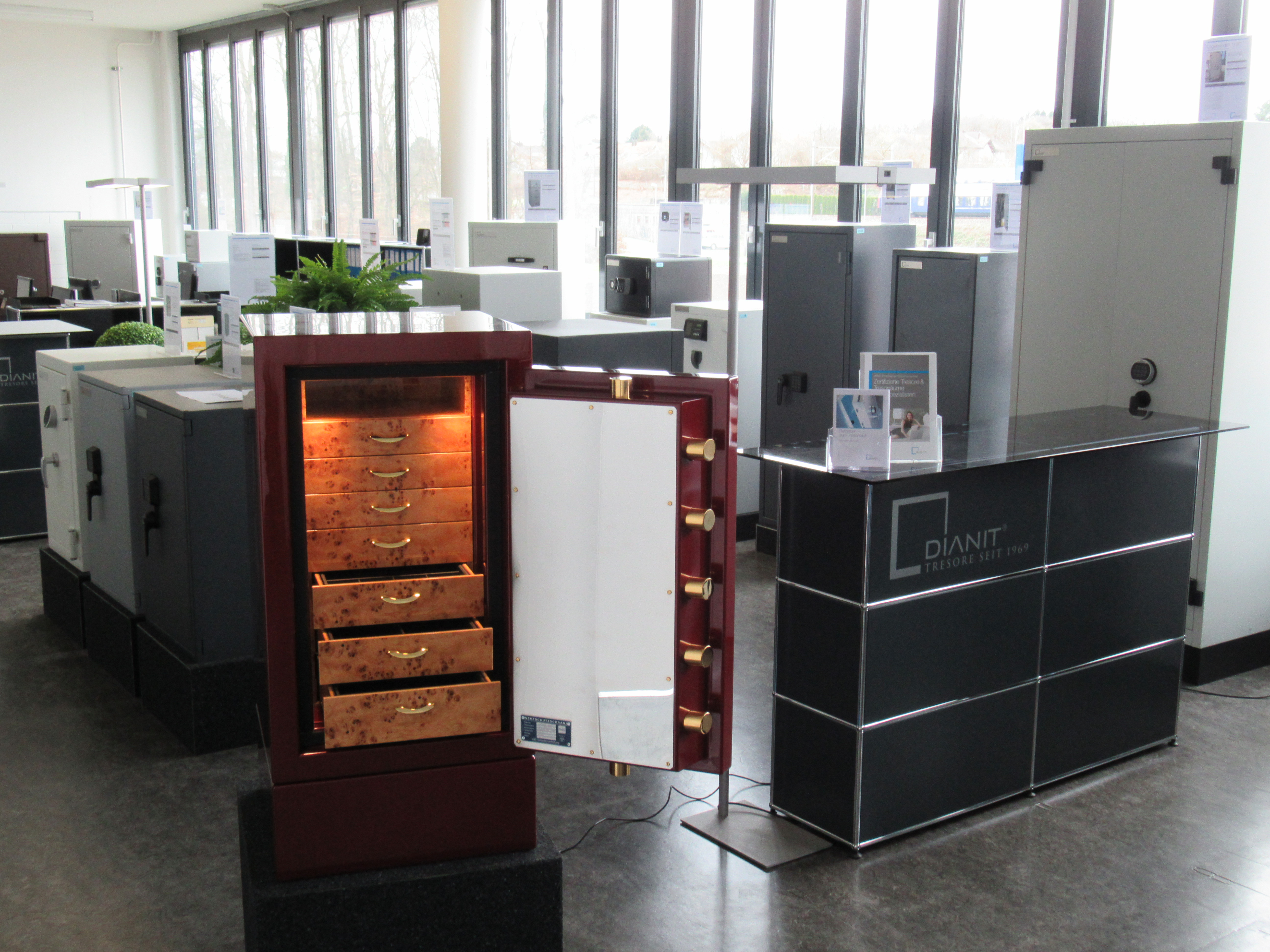 Dianit AG, Widenholzstrasse 8 in Wallisellen