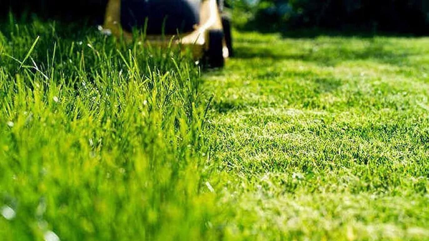 Images Hållbar Fastighetstjänst I Stockholm AB