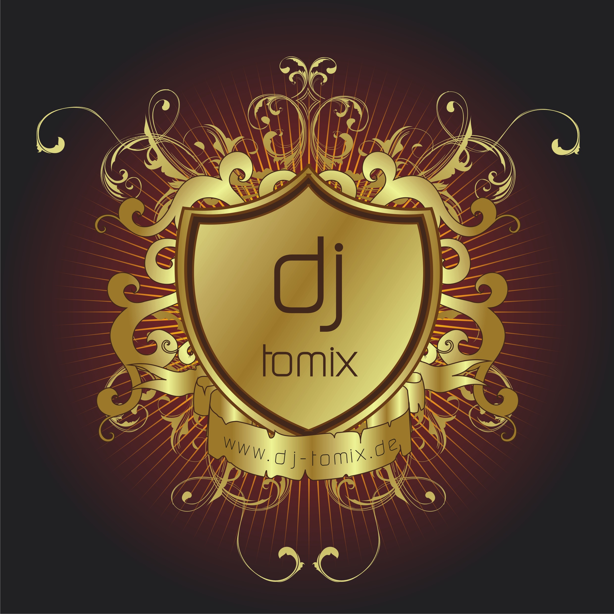 Profi DJ Tomix, Discjockey seit 2003