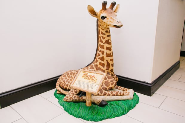 Images Holiday Inn Express & Suites Tampa -Usf-Busch Gardens by IHG