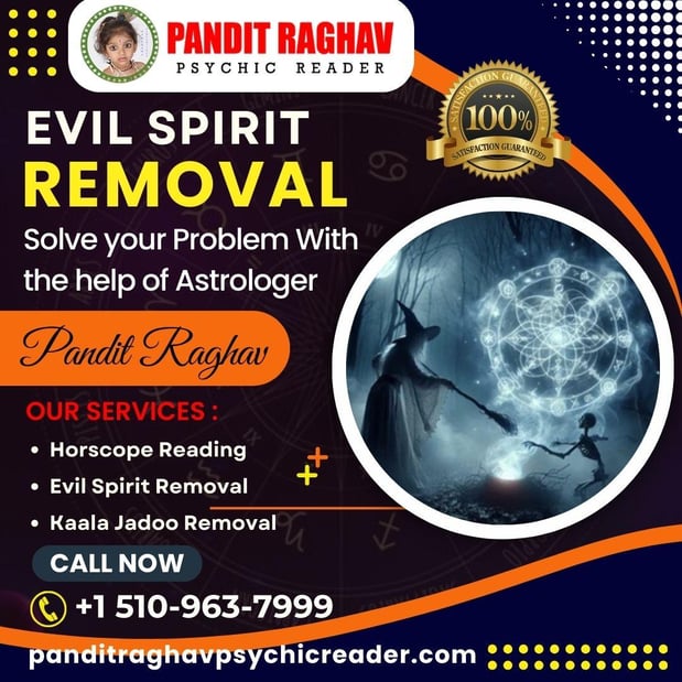 Images Pandit Raghav Psychic Reader Indian astrologer