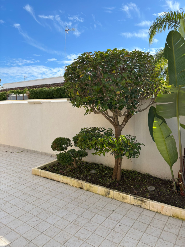 Images Linea Verde di Marrocco Pantaleo