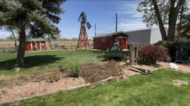 Images The Backyard