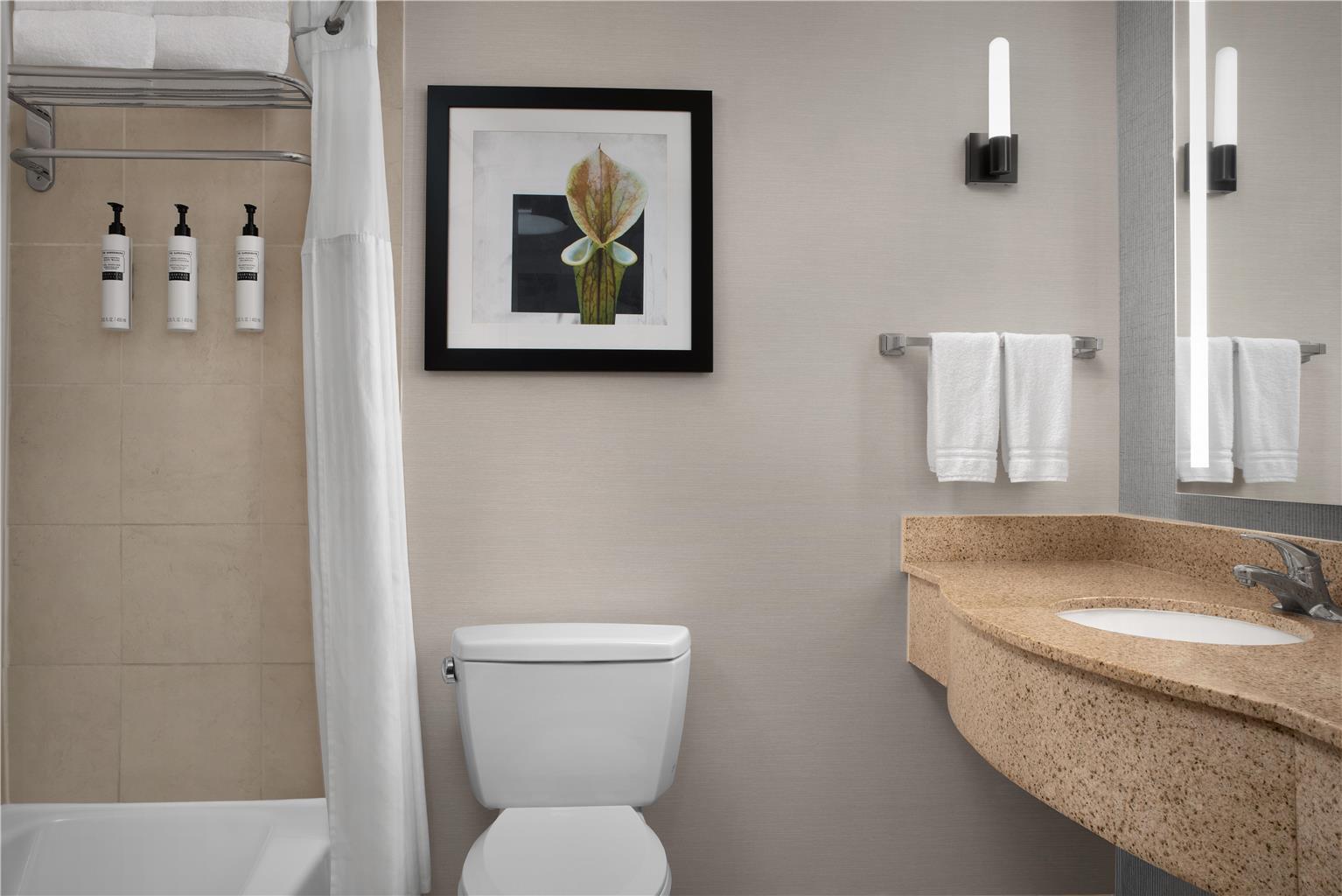 Guest room bath