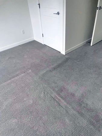Images Integrity Carpet Care LLC