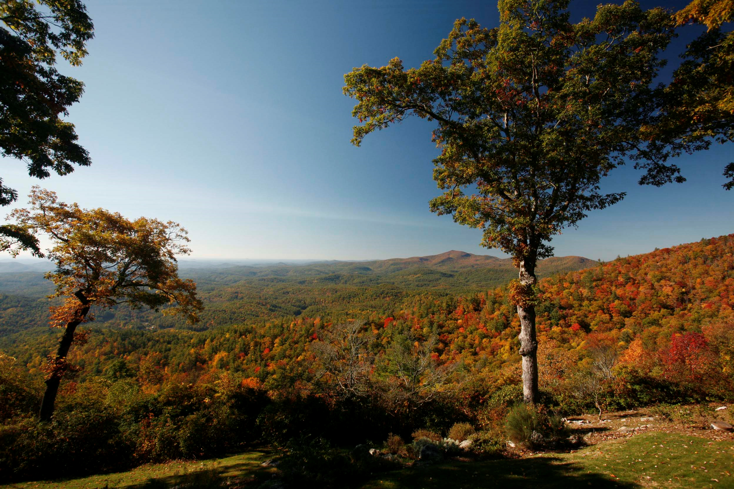 Country Club Properties of Highlands