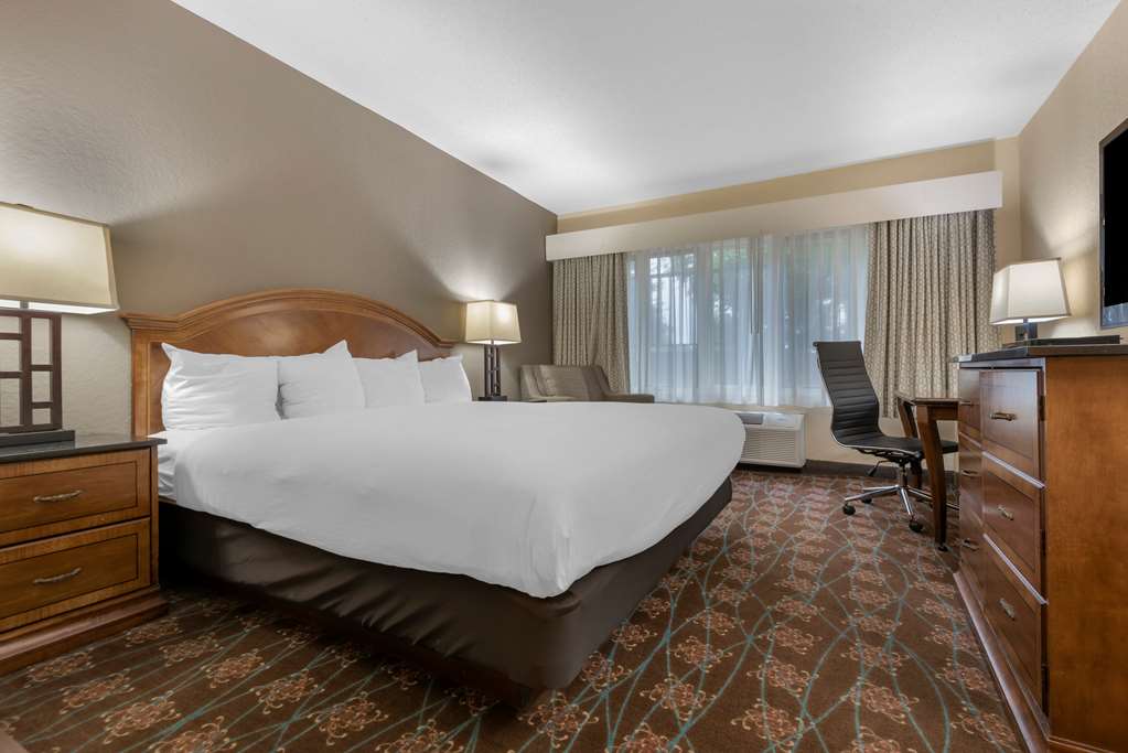 Single Bed Room