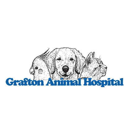 Grafton Animal Hospital Logo