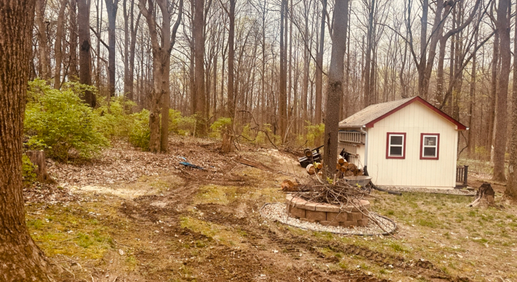 A small, light yellow shed with a red roof and trim sits in a wooded area. In front of the shed, there is a fire pit made of stone with wood stacked nearby. Tire tracks are visible in the muddy ground, suggesting recent vehicle activity. The surrounding trees are bare or have new spring growth, and fallen leaves are scattered on the ground.