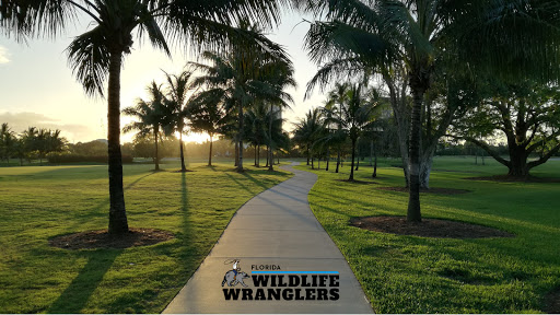 Images Florida Wildlife Wranglers