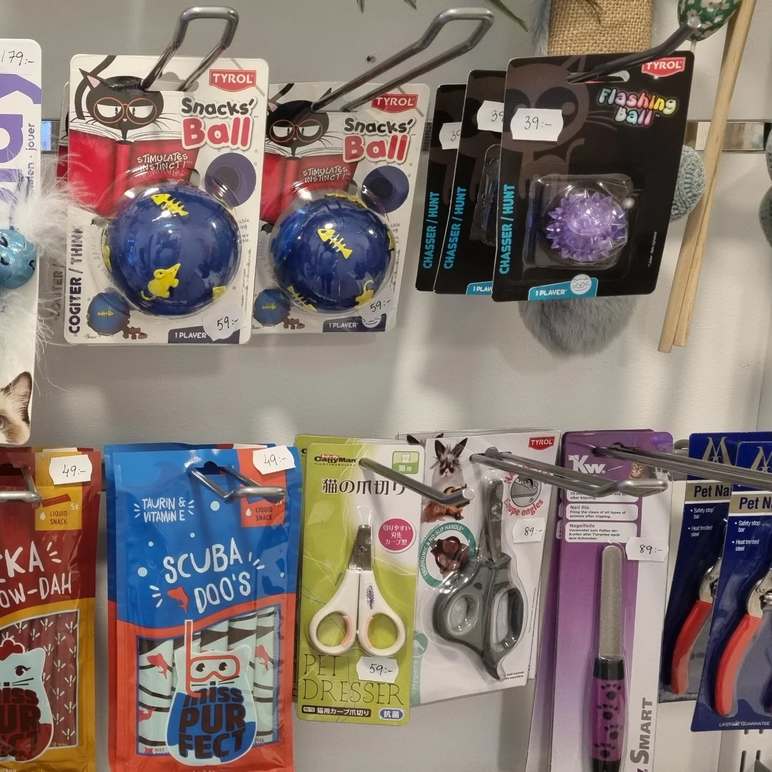 Images Lillys Tassar