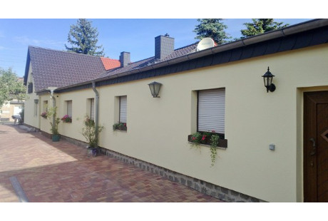 DFS - Dach-, Fassaden- und Sanierungsarbeiten, Hallesche Str. 37 in Köthen